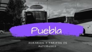 Puebla Buses