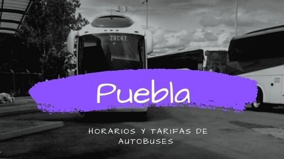 puebla-buses