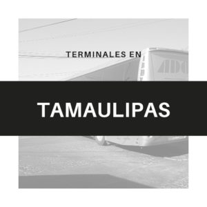 Tamaulipas1
