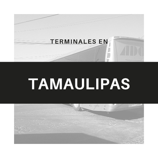 Tamaulipas1