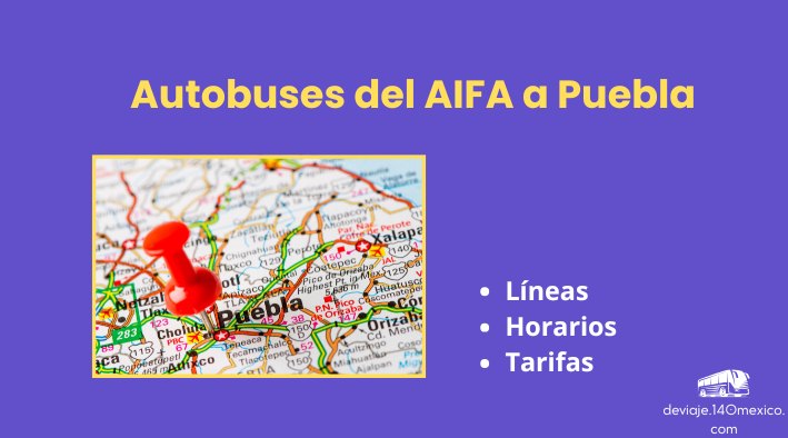 Autobuses del AIFA a Puebla en agosto del 2025
