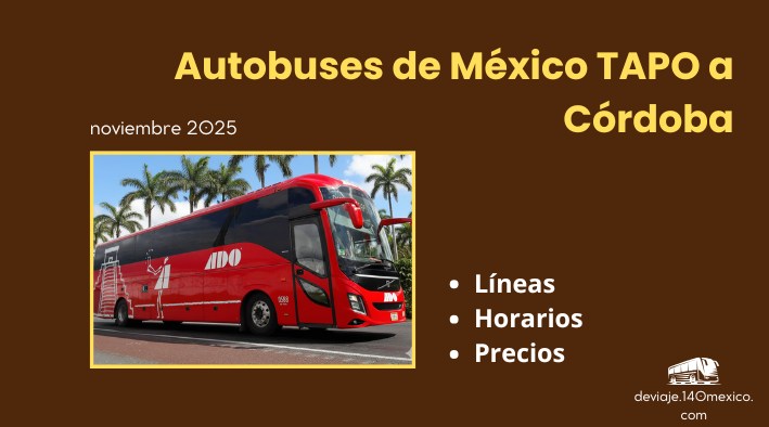 Autobuses México TAPO – Córdoba | noviembre 2025